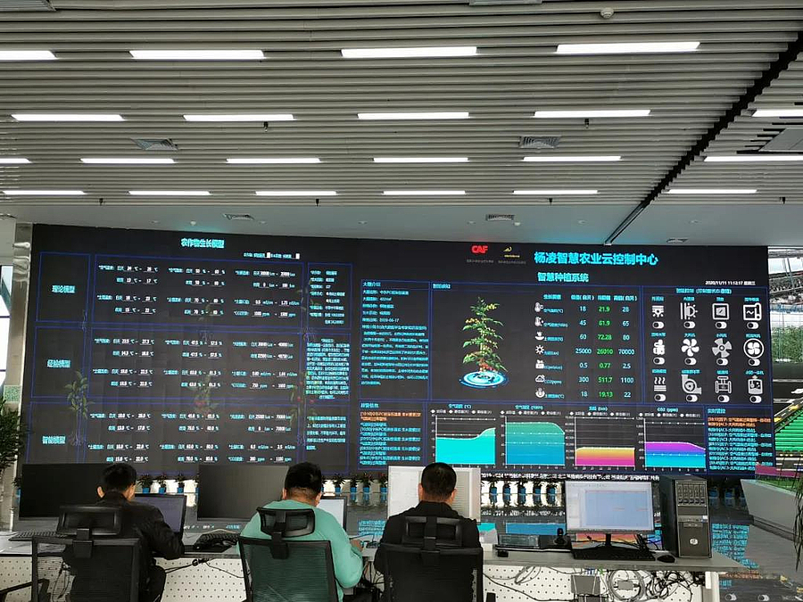 智慧农业新典范 走进比工厂更干净的智能农场